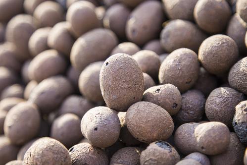 江西達人輕質(zhì)陶粒 江西達人輕質(zhì)陶粒